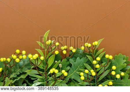 Autumn Oak And Rowan Branches With Red Berries On Brown Background.
Flat Lay, Top View, Copy Space C