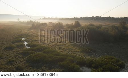 Swampy Grass Covered Wetland. Sunny Day In Mountain Meadow. Morass On The Green Glade.