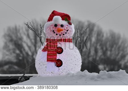 snowman with hat in winter season for christmas celebration