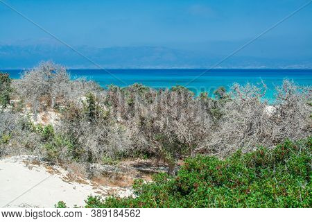 Photo Of Greece Island Chrysi With White Sand  Cedar Trees