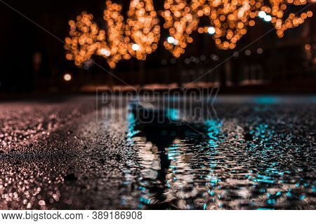 waterlogged paths around it Christmas trees and decorative lights