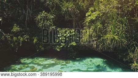 Closeup tropic trees leaves over emerald lake with corals of Weekuri attraction, Wild Sumba Island, Indonesia, Asia. Wonderful landscape of salt water in jade color with exotic plants in zoom shot