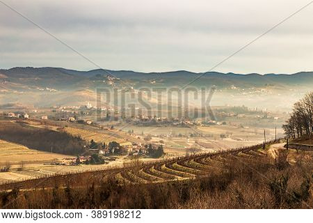 Cold Misty Morning In The Vineyards Of Italy
