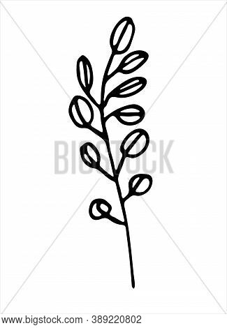 Abstract Plant Line Art. Hand Drawn Vector Illustration For Decoration Purposes. Isolated On White