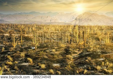 Early Morning Image Of The Burn Scar From The Bush Fire Near Phoenix, Arizona