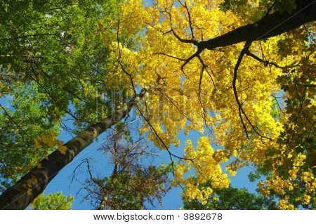 Pomeriggio d'autunno