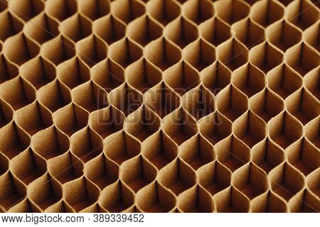 honeycomb cells of cardboard stiffening rib background
