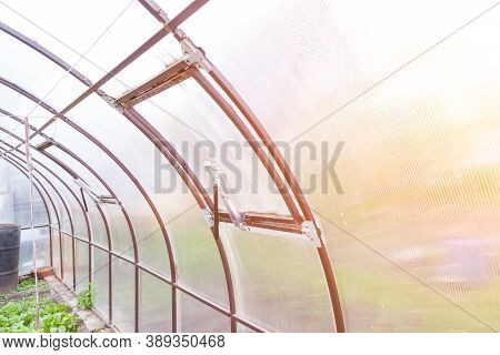 Automatic Window Opener In A Greenhouse With A Thermal Drive Serves To Ventilate The Room Without Hu