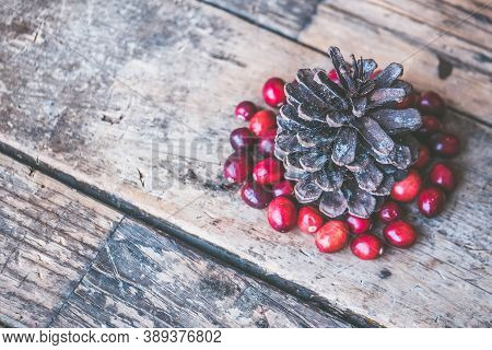 decorative fir trees under wooden planks for Christmas celebrations