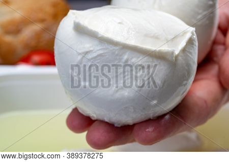 Cheese Maker Holding In Hand Fresh Handmade Soft Italian Cheese From Campania, White Balls Of Buffal