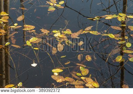 The Pits Were Flooded With Water From The Iron Mine That Was Sunk A Hundred Years Ago. A Place In Si