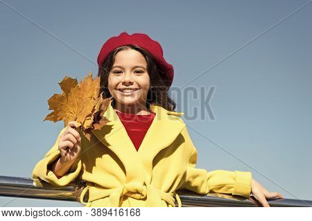 Ideas For Autumn Leisure. Little Girl Adore Autumn Season. Kid Hold Maple Leaves. Small Girl Wear Fa