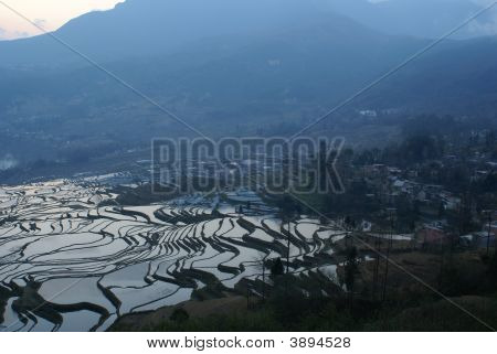 Om morgenen af Paddy Fieldb og en landsby
