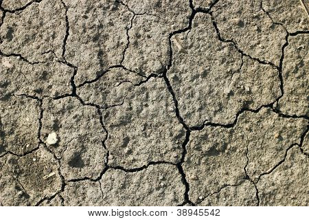 Dettaglio di cracking del suolo