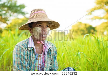 Ritratto di donna con thanaka Myanmar in polvere viso che lavora nel campo
