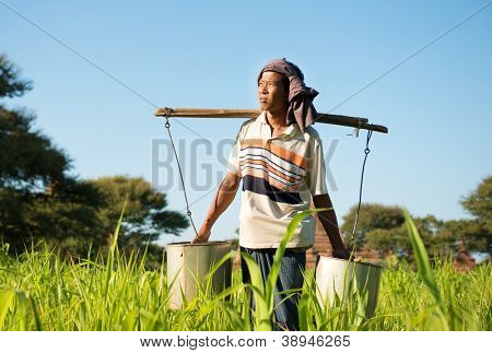 Retrato de un campesino birmano riego planta