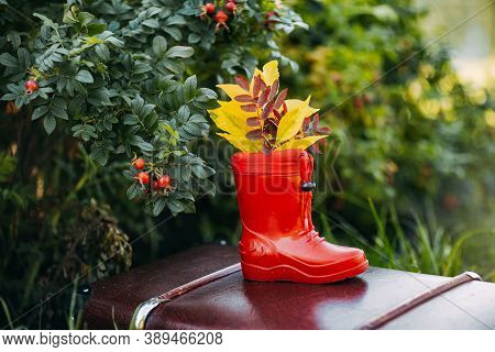 Red Kids Gumboots With Yeallow Leaves Inside Stay On Vintage Suitcase. Autumn Coziness With Foliage 