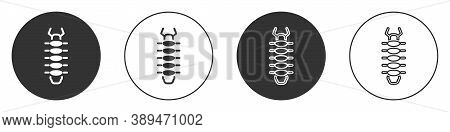 Black Centipede Insect Icon Isolated On White Background. Circle Button. Vector