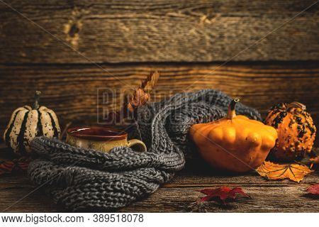 Autumn Concept, Still Life Of Pumpkin Latte With Whipped Milk Cream And Cinamon. Colorful Pumpkins A