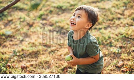 Cheerful Caucasian Boy Holding An Apple And Looking Up At The Tree While Playing In A Field During T