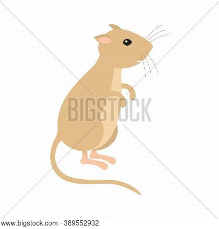Gerbil Sitting On His Feet. Vector Illustration Isolated.