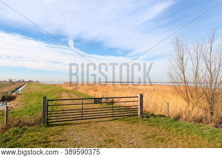 Typical Dutch landscape in Polder at Eemmeer