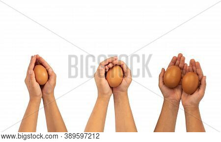 Brown, White Eggs On Hand Isolated On White Background. Kids Hand With Hen Egg Isolated On White Bac