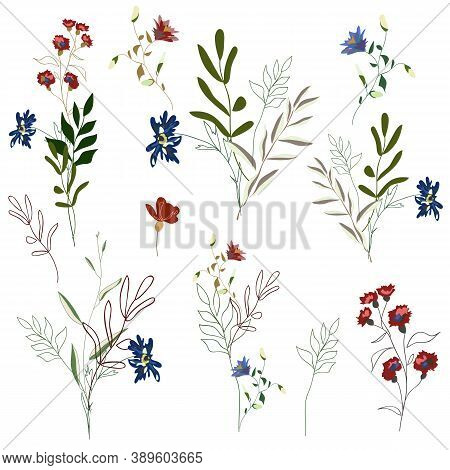 Hand Drawn Flower Collection. Big Set Botanic Branches, Leaves, Foliage, Herbs, Wild Plants In Bouqu