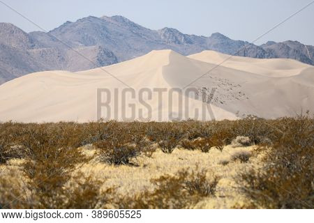 Sand Dunes Surrounded By Mountains And An Arid Plateau With Creosote Plants Taken At The Mojave Dese