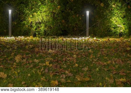 Ground Covered With Autumn Leaves In Illuminated Garden, Nignt Scene