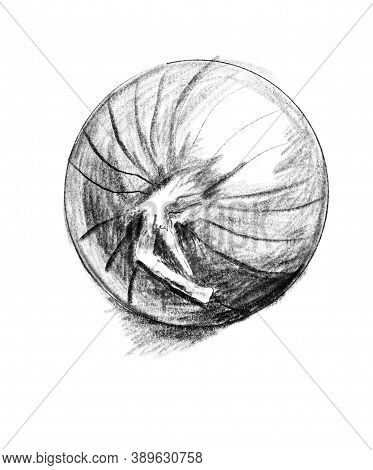Black And White Sketch Of Onion. Hand Drawn Digital Illustration Like As Penci Graphics. Good Design