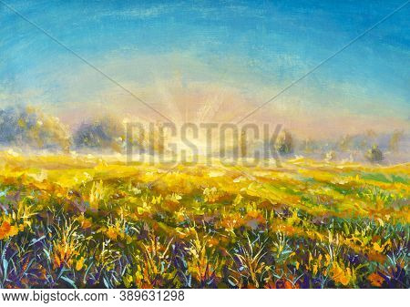 Original Oil Painting Abstract Background Grass Flowers In Rays Of Sun Fragment Of Painting On Canva