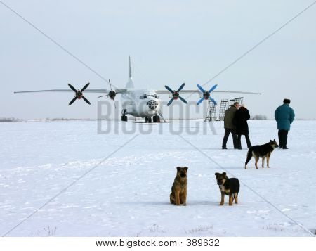 Flyet på en vinter gulv