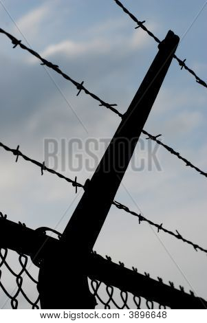 Barb Wire silueta