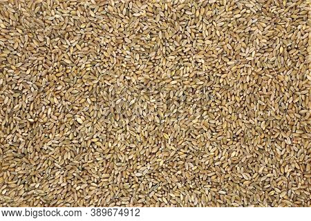 Freekah rice healthy food forming a background. High in protein, fibre, vitamins, minerals with carotenoids for healthy ageing also good for bone and muscle health. Flat lay, top view. 