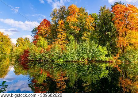 Autumn Foliage In Pavlovsky Park, Pavlovsk, Saint Petersburg, Russia