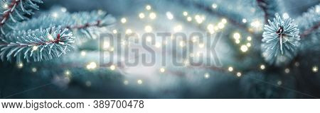 Cristmas Background With Pine Tree Branches And Lights.
