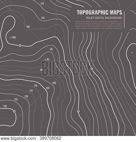 Lie Of Ground Vector Topographic Detailed Map With Route And Coordinates. Abstract Topographic Backg