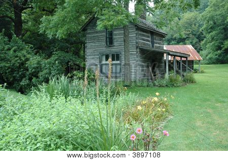 Cabin In The Woods