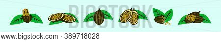 Set Of Cocoa Bean Cartoon Icon Design Template With Various Models. Vector Illustration Isolated On 