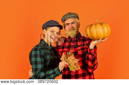 Autumn Harvesting Works. Work At Fields. Harvest Festival. Farmers Market. Autumn Mood. Couple In Lo