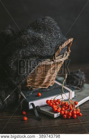 Hand Knitting With Needles, Yarn Ball And Rowan Berries On A Dark Wooden Background. Concept For Han