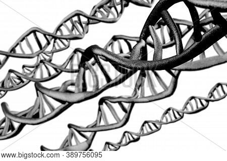 Abstract Dna Strand Double Helix Genetics 3d Illustration