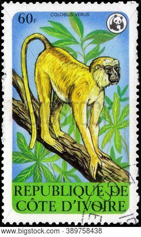 Saint Petersburg, Russia - September 18, 2020: Postage Stamp Issued In The Ivory Coast With The Imag