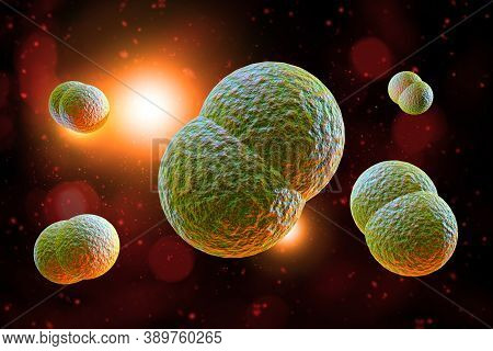 Microscope Close Up Of Meningitis Bacteria, Also Known As Meningococcus 3d Illustration