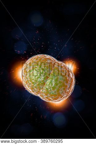 Microscope Close Up Of Meningitis Bacteria, Also Known As Meningococcus 3d Illustration