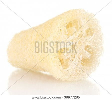 Luffa na białym tle