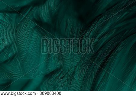 Beautiful Dark Green Viridian Vintage Color Trends Feather Texture Background