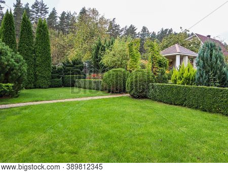 Landscaping Of A Garden With A Bright Green Lawn, Colorful Shrubs, Decorative Evergreen Plants And S