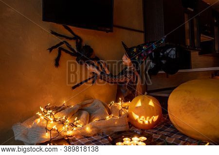 Child Girl Preparing To Celebrate Halloween In Witch Costume. Big Spider In Hand On Wall As Decor. P